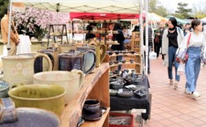 越前陶芸村しだれ桜まつり